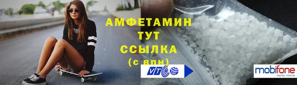 крисы Ельня