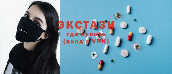 крисы Ельня