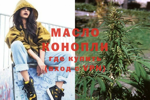 крисы Ельня
