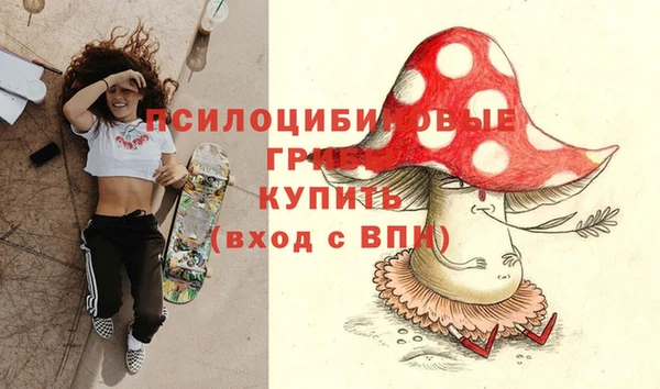 альфа пвп Елабуга