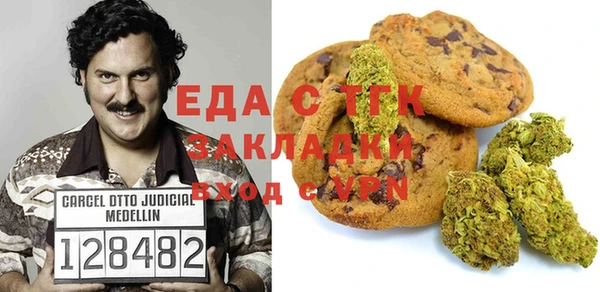 крисы Ельня