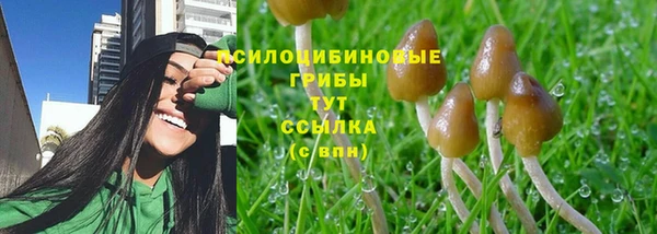 MESCALINE Заволжск
