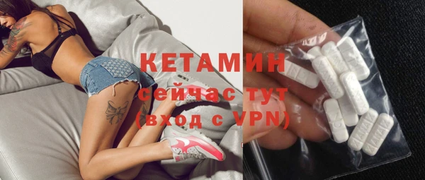 крисы Ельня