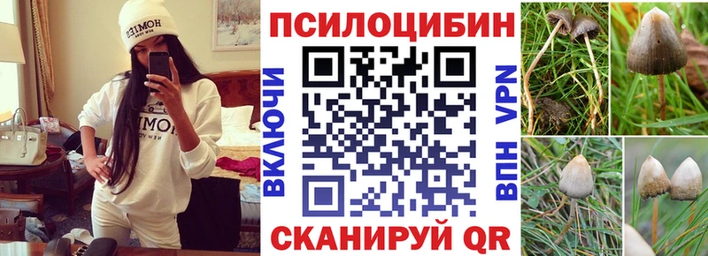 Купить где Калач Галлюциногенные грибы GOLDEN TEACHER